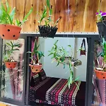 Elephant House - Đường Lâm Homestay