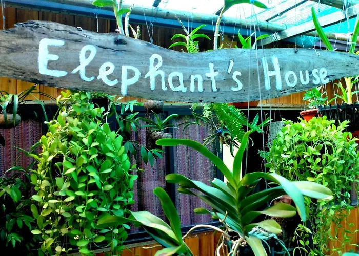 Elephant House - Đường Lâm Homestay