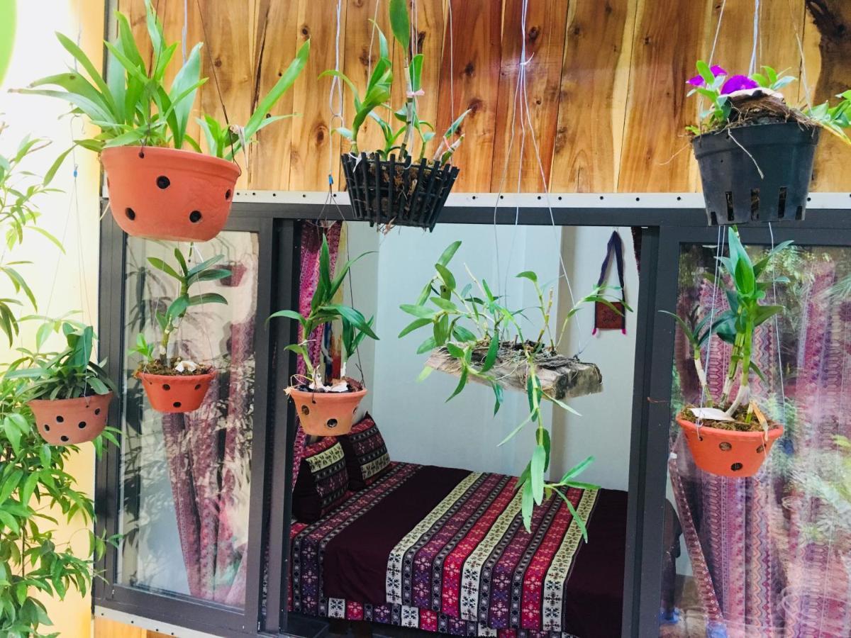 Elephant House - đường Lâm Homestay *