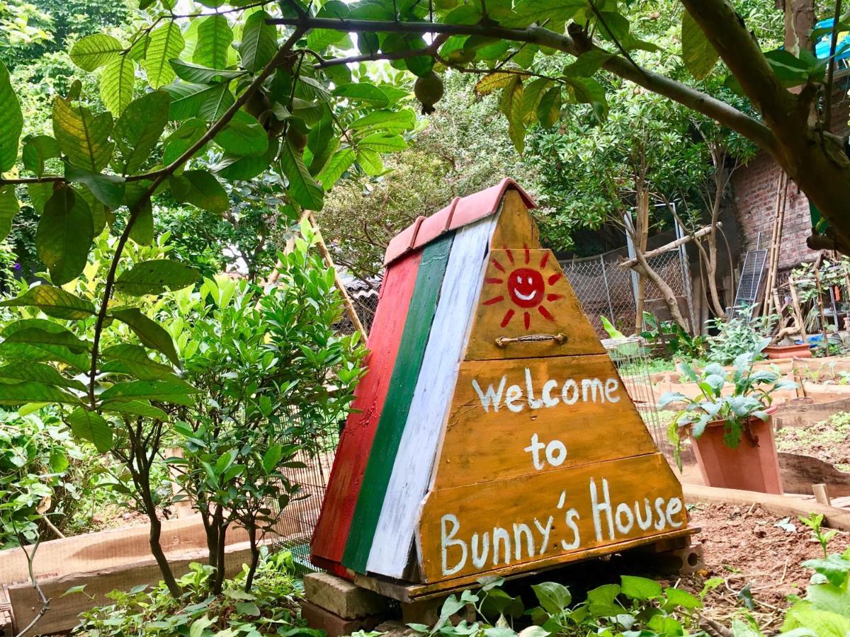 Nhà ở miền quê Elephant House - đường Lâm Homestay Hà Nội