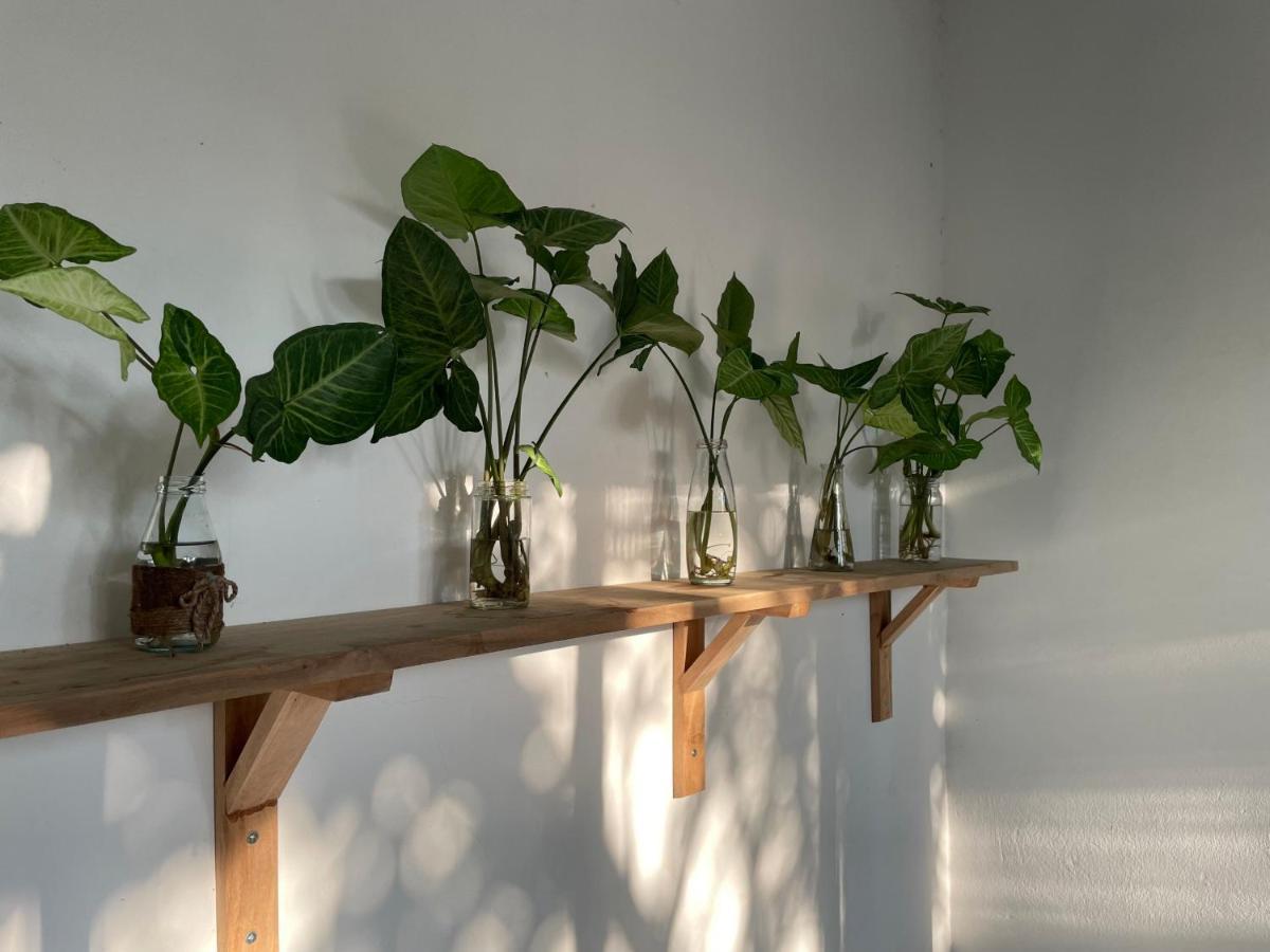 Elephant House - đường Lâm Homestay * Hà Nội