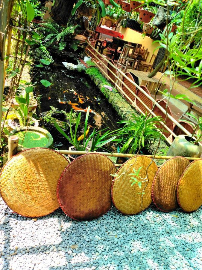 Nhà ở miền quê Elephant House - đường Lâm Homestay Hà Nội