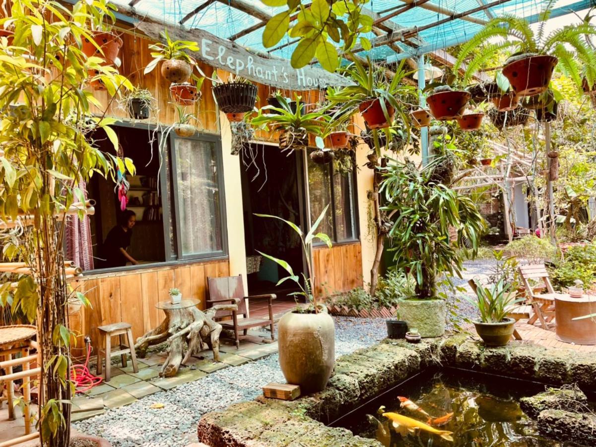 Elephant House - đường Lâm Homestay Nhà ở miền quê *