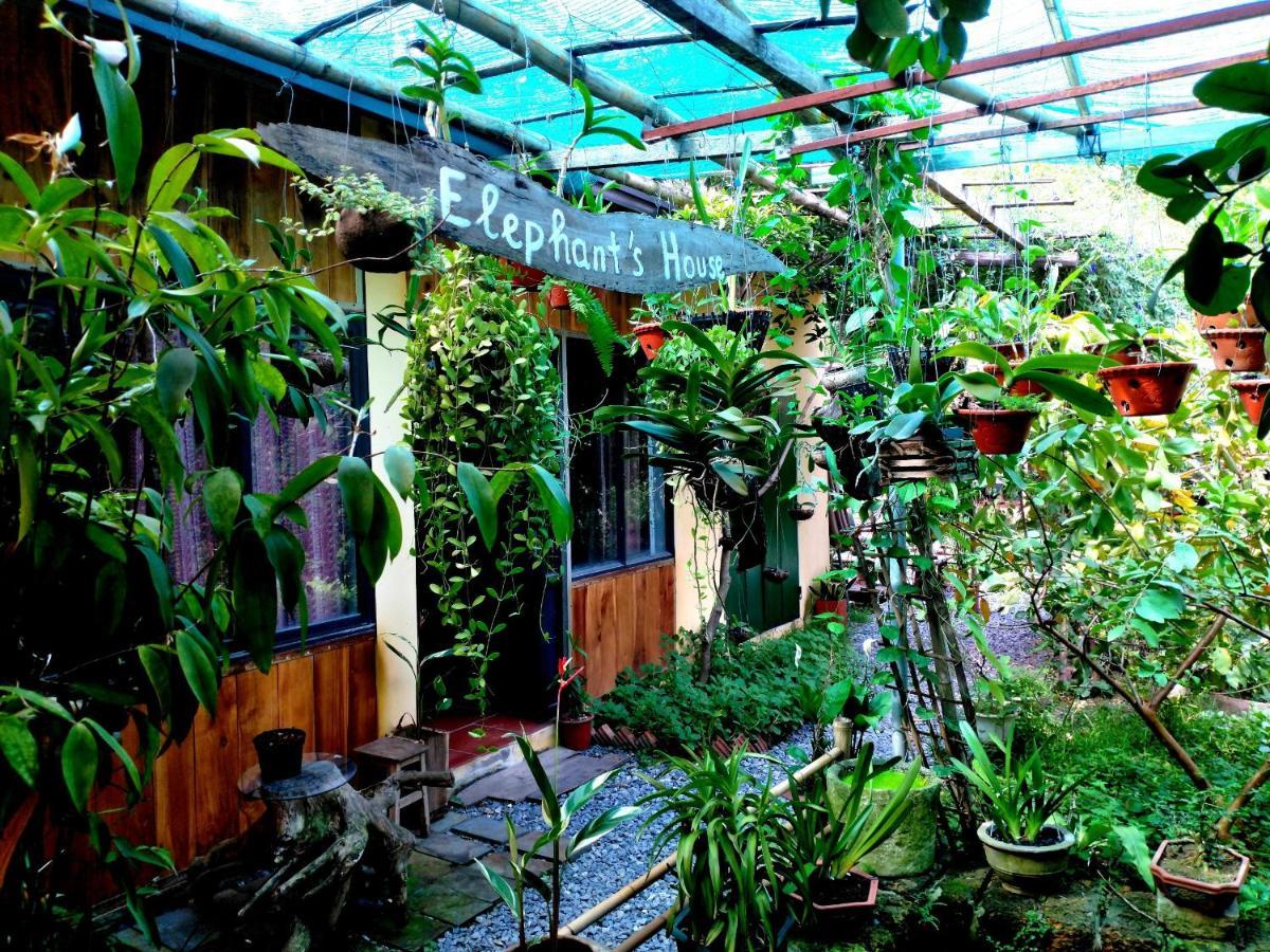 Elephant House - đường Lâm Homestay *
